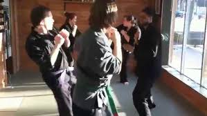 Image result for Bujinkan Ninpo Dojo