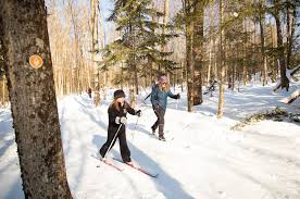 Image result for Lakeland Cross Country Ski Club