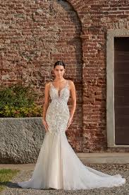 Image result for cosmobella