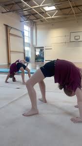 Image result for Angmering School Of Gym
