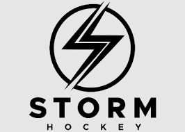 Image result for Hampstead Heath Hockey