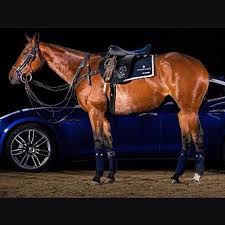 Image result for Inglesham Polo Centre