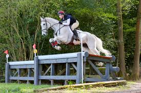 Image result for East Flegg Riding Club
