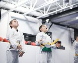 Image result for Professional  Martial Arts Academy
