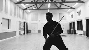 Image result for Bujinkan Dojo Seijitsu