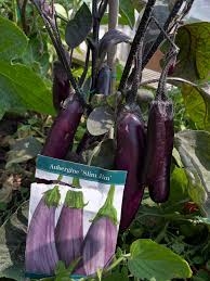 Afbeeldingsresultaat voor slim jim eggplant