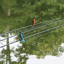 Image result for Bexleyheath and District Sea Angling Society