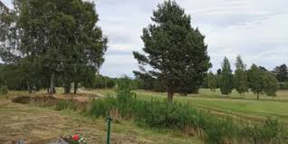 Image result for Carrbridge Golf Club