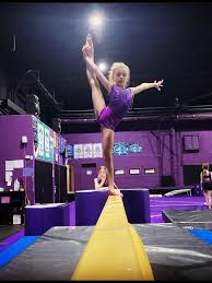 Image result for Zodiac Gymnastics Club