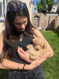 Image result for Savate Uk (Guildford)