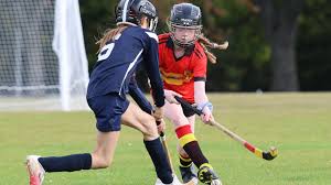 Image result for World of Shinty