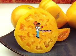 Afbeeldingsresultaat voor amana orange beefsteak tomato