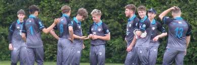 Image result for North Petherton Cricket Club