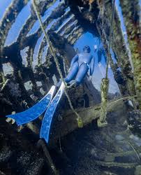 Image result for Notanx Freedive Club