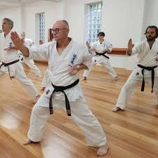 Image result for Jin Sei Kai Shotokan Karate