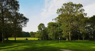 Image result for Lingfield Cricket Club