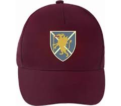 Image result for Taunton St Andrews Cricket Club