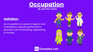 Image result for occupations