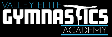 Image result for Blythe Valley Gymnastics Club