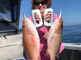 Image result for SHIRLEY SEA ANGLING CLUB