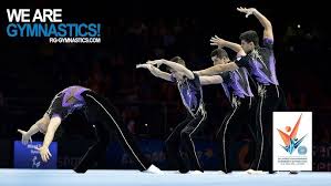 Image result for Sports Acro
