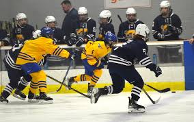 Image result for Cowie Bowling Club