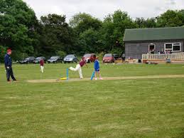 Image result for Worlingworth Cricket Club