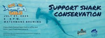 Image result for South Axholme Sharks Asc