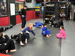 Image result for America's Best Karate
