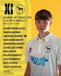 Image result for Findon Cricket Club