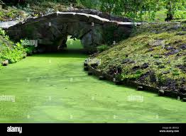 Image result for Arboretum Trompenburg