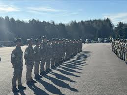 Image result for British Parachute Schools