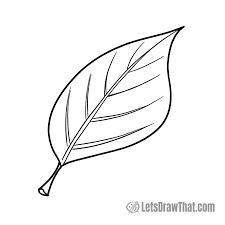 Attēlu rezultāti vaicājumam “leaf”
