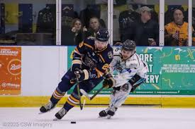 Image result for Romford Junior Ice Hockey Club