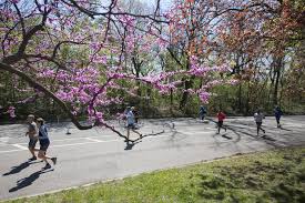 Image result for Prospect Park Beginner Jogging Sessions