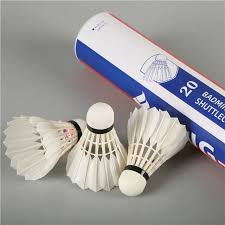 Image result for Shuttlecocks Badminton Club