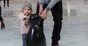 Image result for Guildford Ice Figure Skating Club