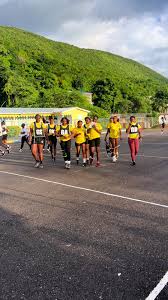 Image result for Tibberton Netball Club