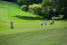 Image result for Dorking Golf Club