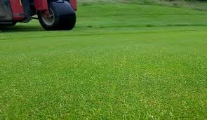 Image result for Waterton Park Golf Club Ltd