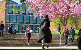 Image result for University Of Sussex