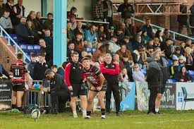 Image result for Ellingham and Ringwood Rugby Club