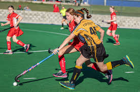 Image result for Ipswich Hockey Club