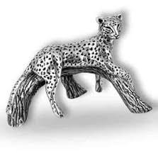 Image result for Argent Silver 1981 Jaguar