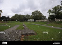 Image result for Barking Abbey Ishinryu