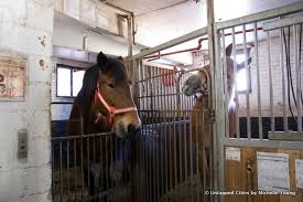 Image result for Old Park Riding Stables