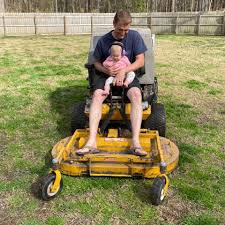 Image result for dipperfox tehron