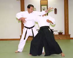 Image result for A BRITISH JUJITSU RYU in Lancing