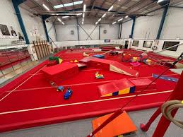 Image result for Colchester School Of Gymnastics