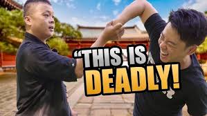 Image result for Tang Sou Dao Ren Yi Wu Kwan - Houghton & Wyton